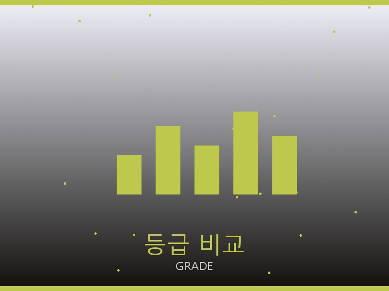 토리 버치 레플리카 사이트 등급 기준 비교